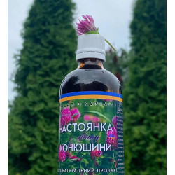 Настойка из клевера