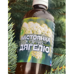 Настойка из корня дягеля