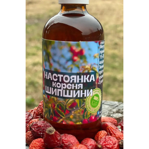 Настоянка з кореня шипшини 