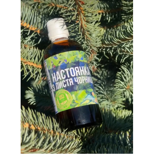Настоянка з листя чорниці