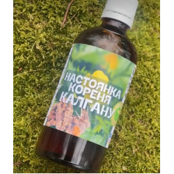 Настойка из корня калгана