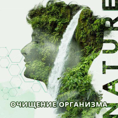 Сибирская чистка