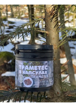Траметес в капсулах
