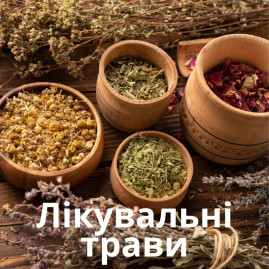 Лікувальні трави