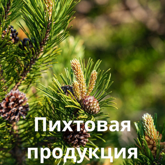 Пихтовая продукция