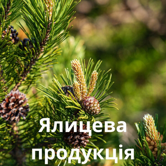 Ялицева продукція