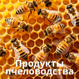 Продукты пчеловодства
