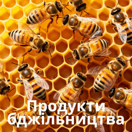 Продукти бджільництва