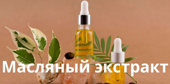 Масляный экстракт