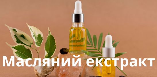 Масляний екстракт