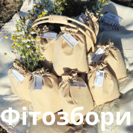 Фітозбори