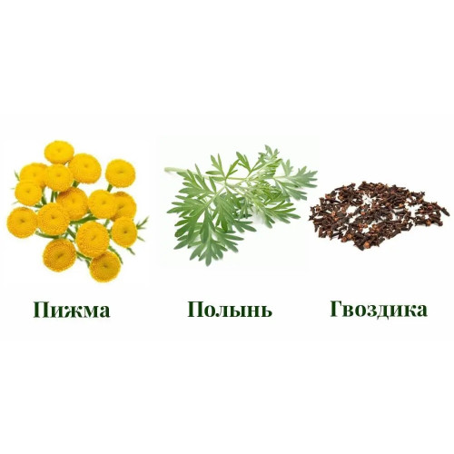 Антипаразарна программа  /тройчатка - 1/